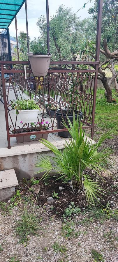 Apartman Duce Milka Villa Buitenkant foto