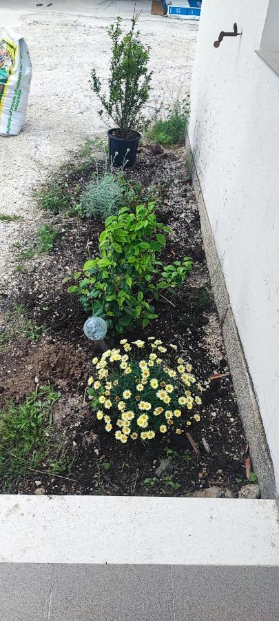 Apartman Duce Milka Villa Buitenkant foto